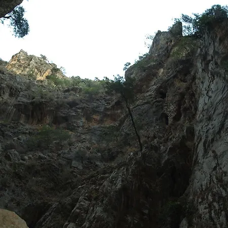 Sarikampos
