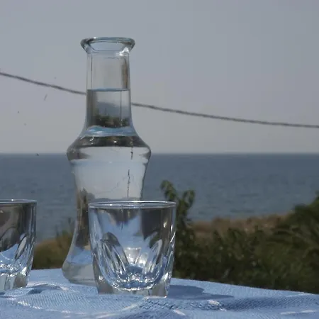 Sarikampos